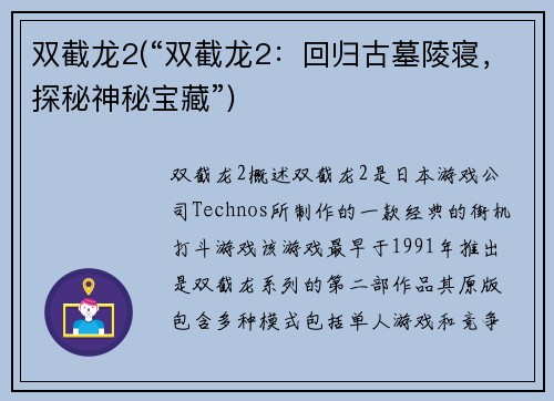双截龙2(“双截龙2：回归古墓陵寝，探秘神秘宝藏”)